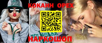 мдма Кингисепп