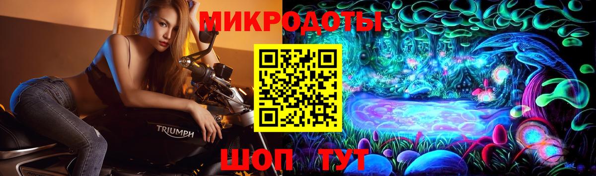 Галлюциногенные грибы прущие грибы Коммунар