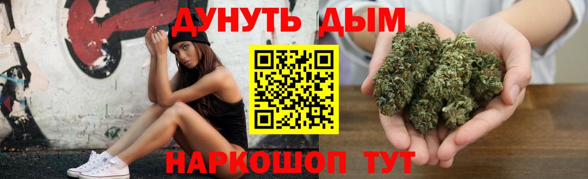 Канабис сатива Коммунар